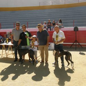 LA PLAZA DE TOROS DE BARGAS SE CONVIERTE POR UN DÍA EN UNA CONCURRIDA PLAZA DE EXHIBICIÓN DE GALGOS