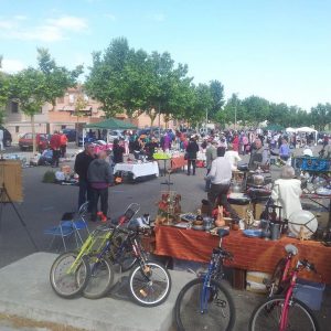 DOMINGO 12 DE JUNIO, ÚLTIMO RASTRILLO DE LA TEMPORADA.