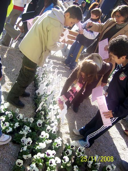 Día Internacional contra la violencia de género 2008