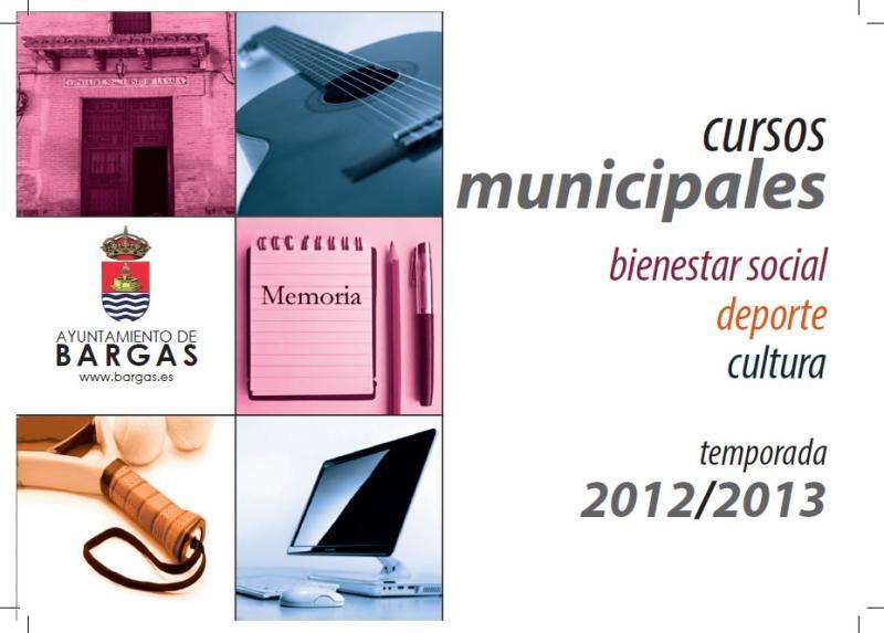 Matricula Cursos Municipales Cultura 2012-13