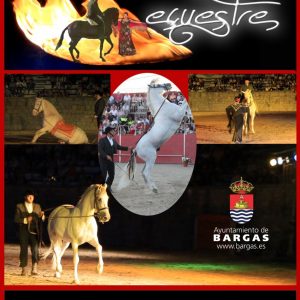 DANZA ECUESTRE: Pura pasión ecuestre»»