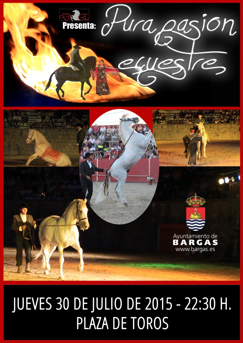 DANZA ECUESTRE: Pura pasión ecuestre»»