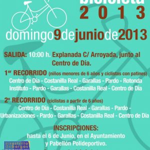 Día de la bicicleta 2013