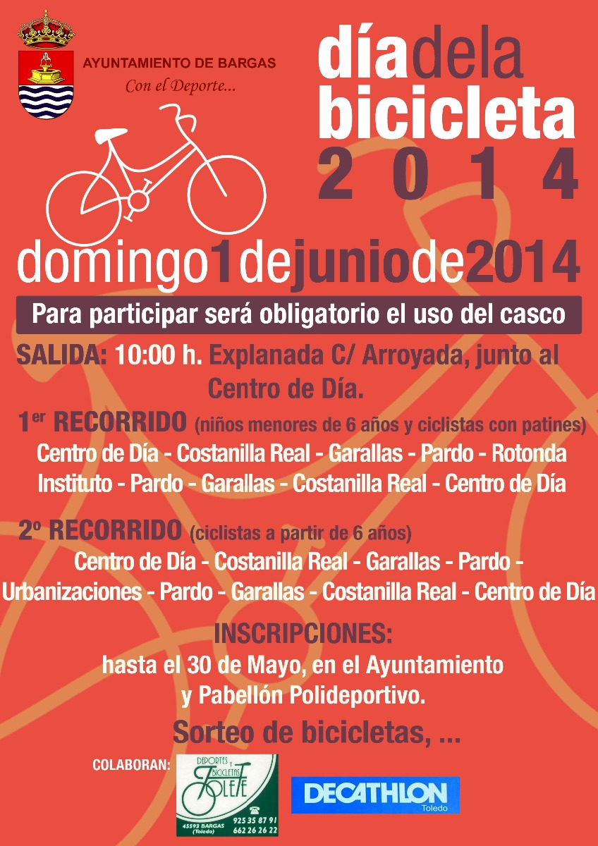 Día de la bicicleta 2014