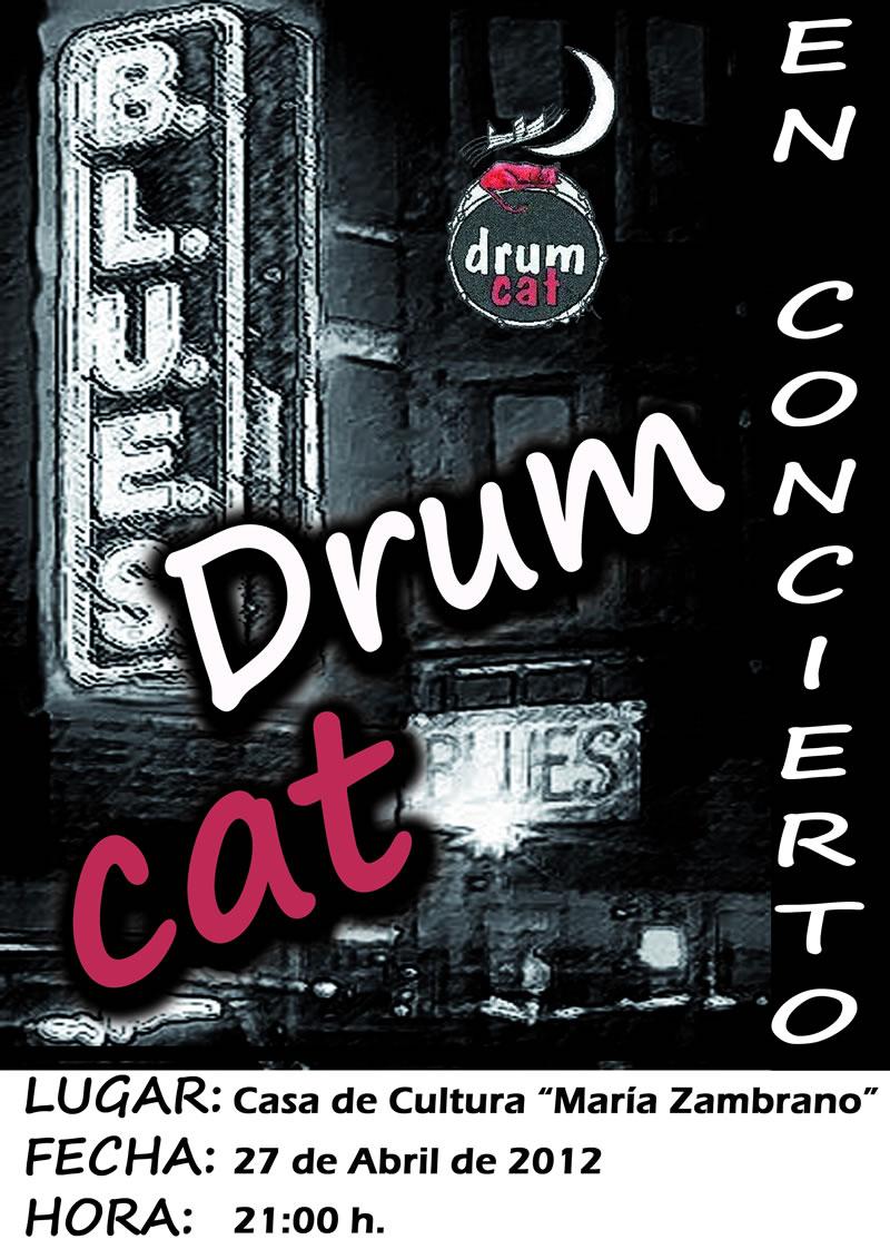 Drum Cat Blues en concierto