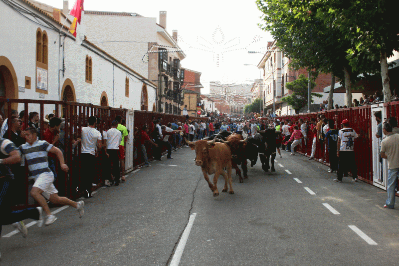 COMIENZAN LOS ENCIERROS EN BARGAS