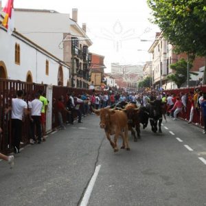 CULMINAN EXITOSAMENTE LOS ESPECTÁCULOS TAURINOS DE BARGAS