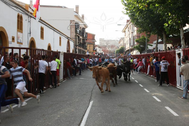 CULMINAN EXITOSAMENTE LOS ESPECTÁCULOS TAURINOS DE BARGAS