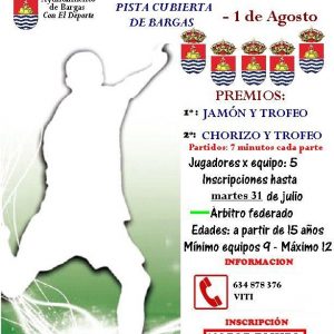 III Torneo Ferias Bargas 2012