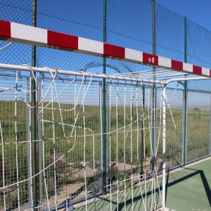 Desperfectos Pista Polideportiva de El Cané