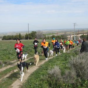 BARGAS celebra el II CANICROSS con gran éxito