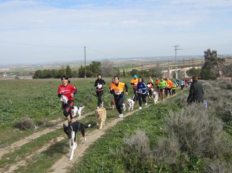 BARGAS celebra el II CANICROSS con gran éxito