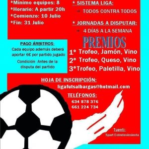 Liga de verano de Fútbol Sala