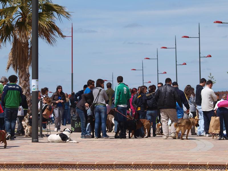 BARGAS CELEBRA EL III ENCUENTRO BENÉFICO CANINO