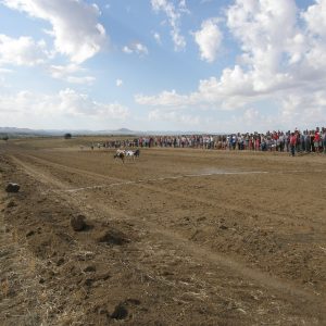 MASIVA AFLUENCIA DE GALGOS NACIONALES E IMPORTADOS EN LA I COPA DE CASTILLA-LA MANCHA CELEBRADA EN BARGAS