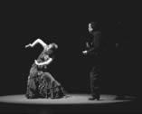 Pasión por el flamenco