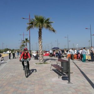 A partir del próximo domingo 6 de noviembre, tendremos una cita obligada en la localidad de Bargas donde, cada primer domingo de mes, se celebrará por la mañana un Rastrillo de compraventa e intercambio…