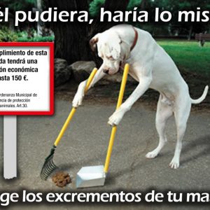 Campaña animales de compañia