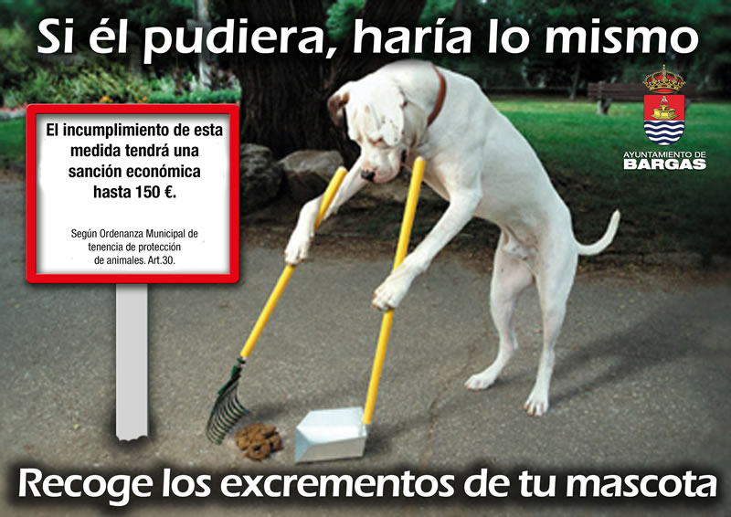 Campaña animales de compañia