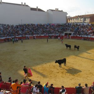 COMIENZAN LOS ENCIERROS EN BARGAS.