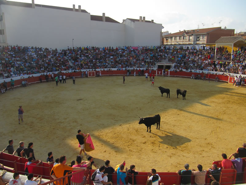 COMIENZAN LOS ENCIERROS EN BARGAS.