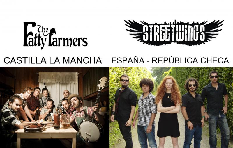 CONCIERTO MÚSICA CELTA – STREET WINGS» + «THE FATTY FARMERS» – Verano Cultural 2013″