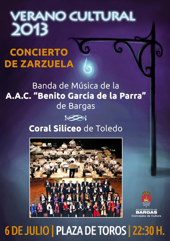 CONCIERTO DE ZARZUELA – Verano Cultural 2013