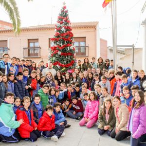 Colocación y decoración del Árbol de Navidad