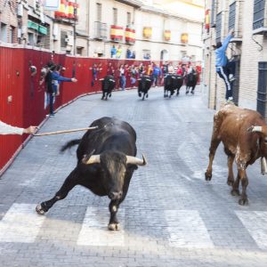 Los festejos taurinos vuelven a celebrarse en Bargas con motivo de sus fiestas populares