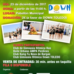 Festival Deportivo Solidario a favor de Down Toledo