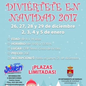 ¡Diviértete en Navidad! 2017