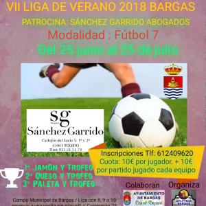 VII Liga de Verano de Fútbol 7