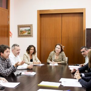 Luz verde para poner en funcionamiento el Área Territorial de Prestación Conjunta (ATPC) de Servicio de Taxi en los municipios de Bargas, Olías del Rey y Magán