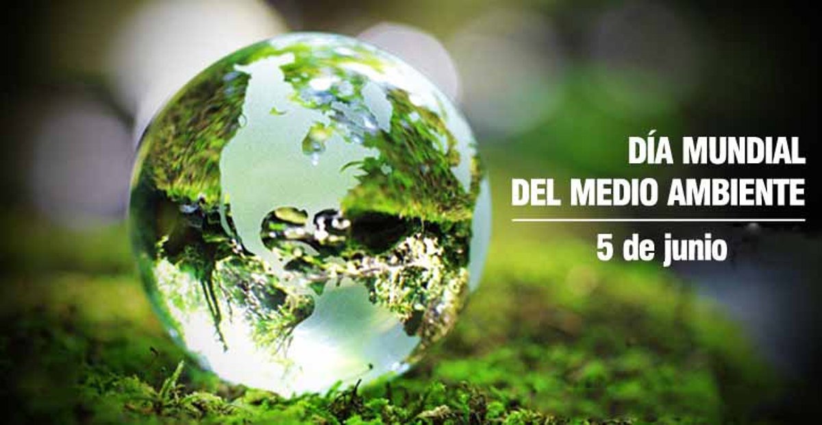 Día Mundial del Medio Ambiente 2020