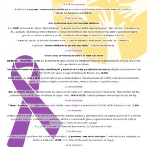 25 de Noviembre – Día Internacional de eliminación de violencia contra las Mujeres