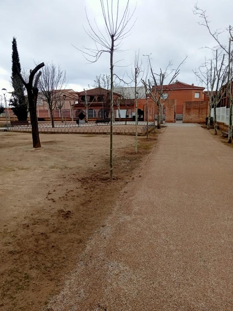 CAÑIZARES4