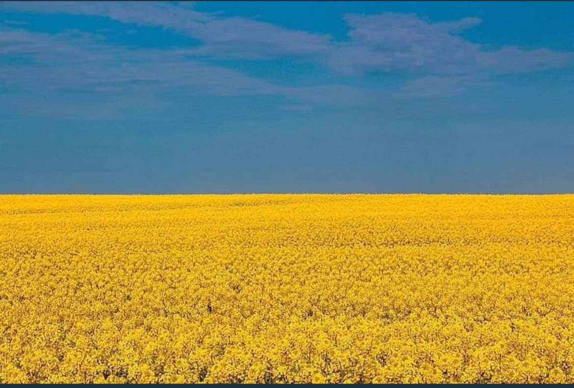 🇺🇦 El Ayuntamiento de Bargas luce de amarillo y azul en apoyo a Ucrania