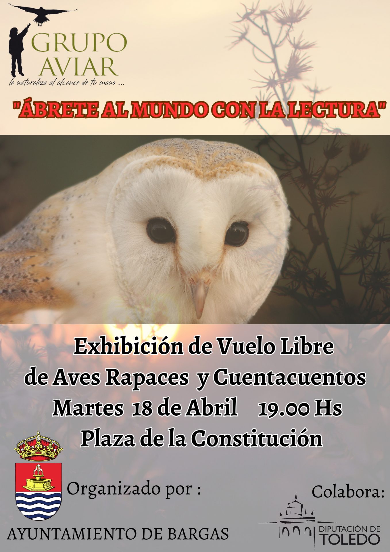 Exhibición de vuelo libre de aves rapaces y Cuentacuentos