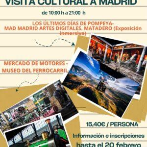 Visita Cultural a Madrid