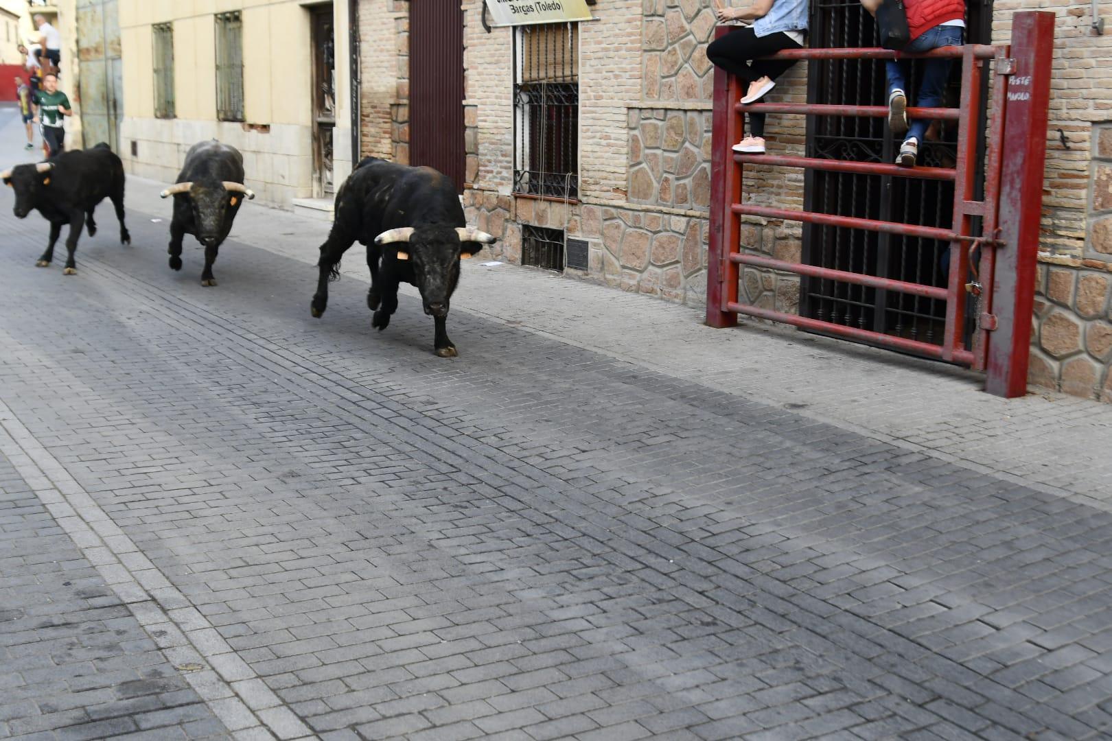 toros y chocolatada (4)