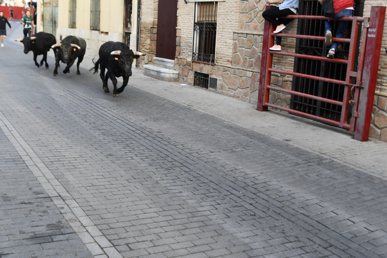toros y chocolatada (8)