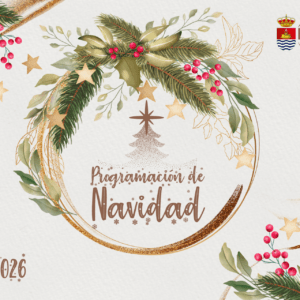 Inauguración de la Navidad 2025