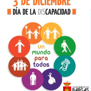 Día Internacional de las Personas con Discapacidad