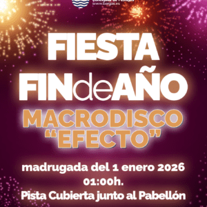 Fiesta Fin de Año 2025: Macrodisco «Efecto»