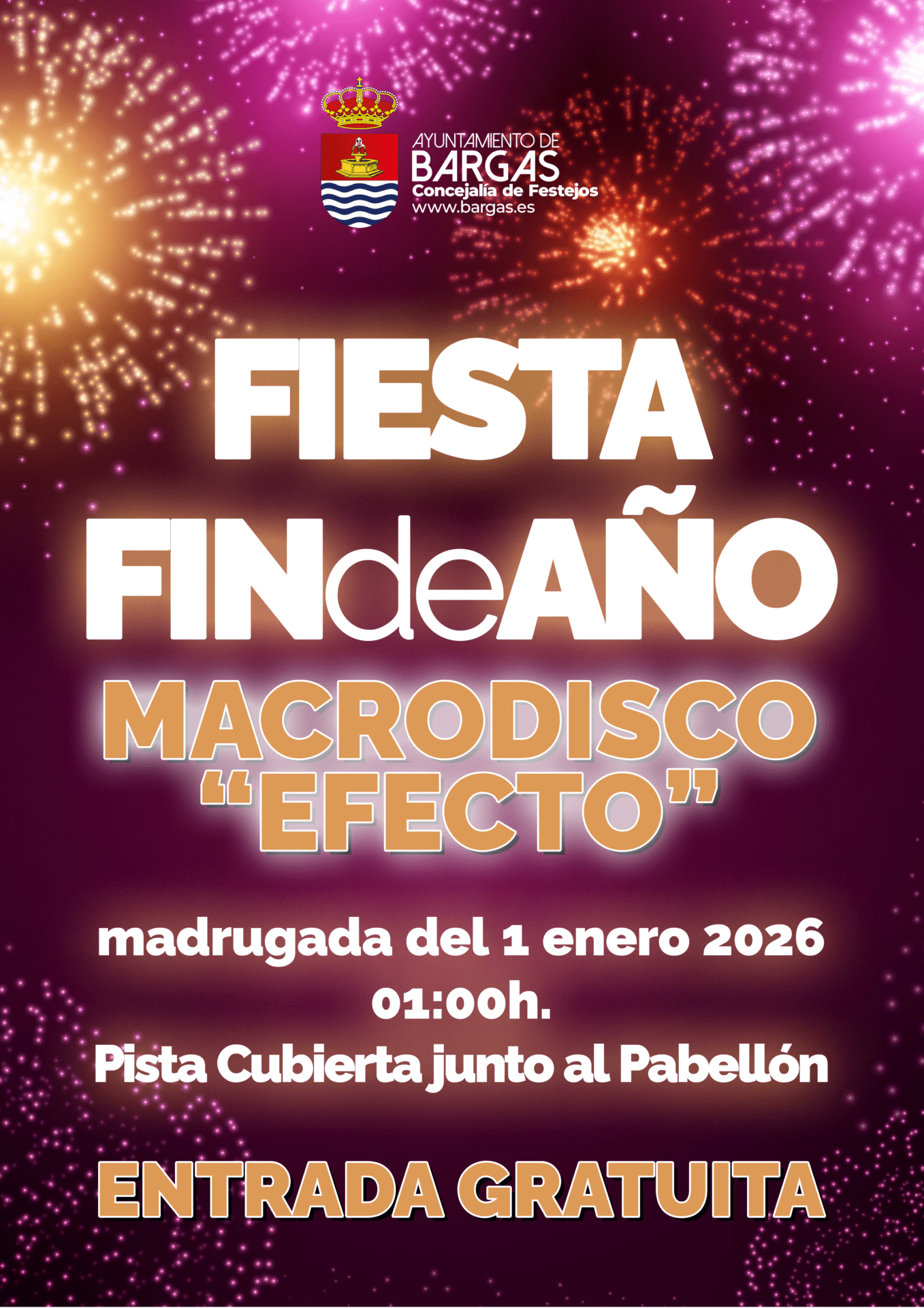 Fiesta Fin de Año 2025: Macrodisco «Efecto»