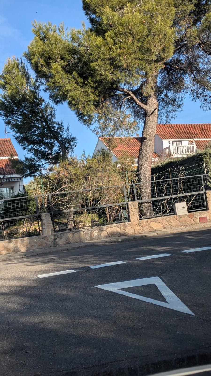 WhatsApp Image 2025-12-01 at 13.25.50 (1)