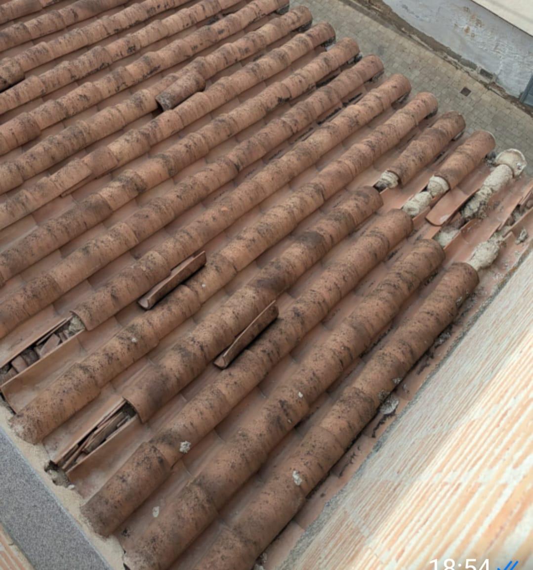 WhatsApp Image 2025-12-15 at 10.42.25