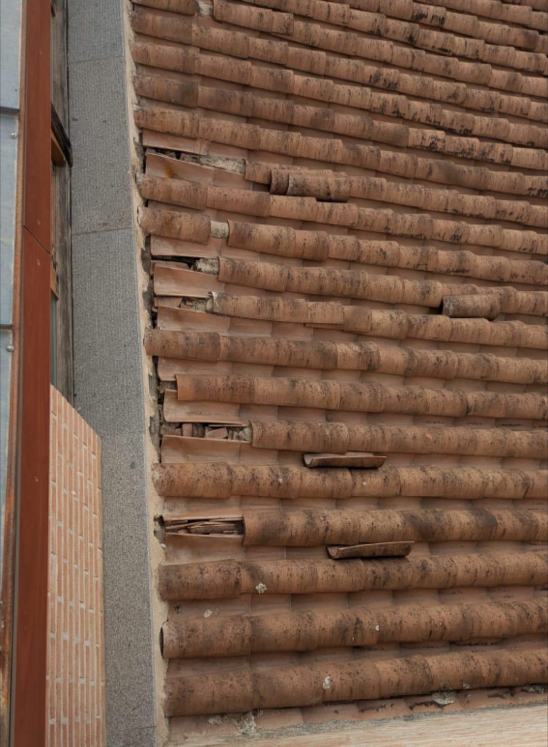 WhatsApp Image 2025-12-15 at 10.42.26 (1)