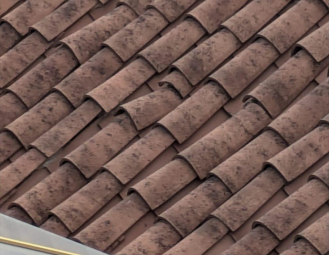 WhatsApp Image 2025-12-15 at 10.42.26 (2)