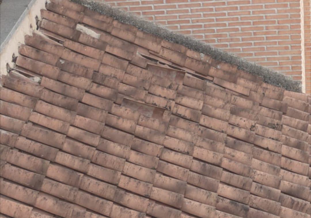 WhatsApp Image 2025-12-15 at 10.42.26 (3)